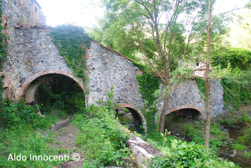 BAGNI DI SAN MICHELE ALLE FORMICHE: TERME 10' IMMAGINE